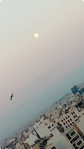 نمایش عکس
