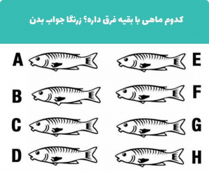 نمایش عکس