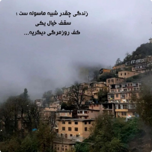 نمایش عکس