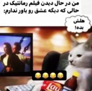 نمایش عکس